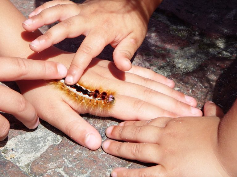 Cheap and Easy Ideas for Enjoying Summer in Chicago with the Kids