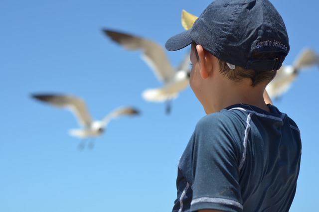 3 Great Summer Travel Destinations with Kids